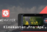 Kinemaster Mod Pro Apk